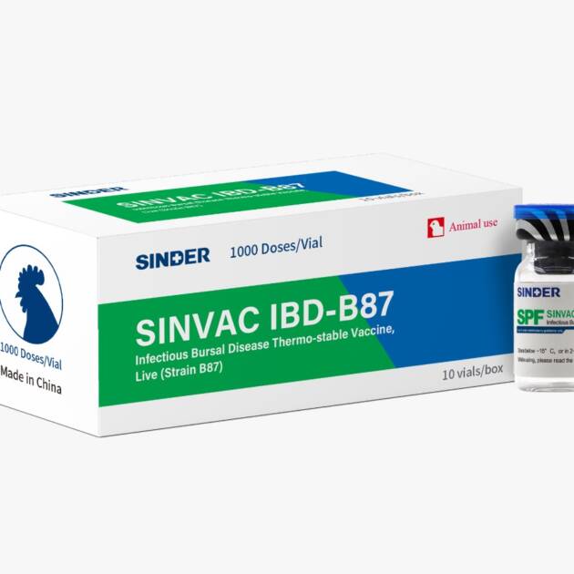 لقاح مرض جراب فابريشيوس -  Infectious Bursal Disease Vaccine